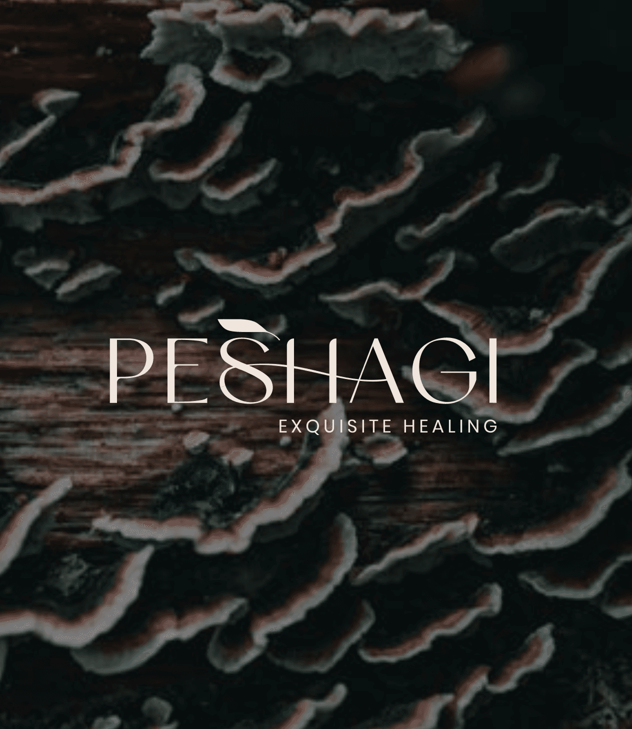 PESHAGI — Exquisite Healing